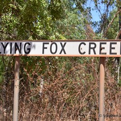 Flying Fox Creek