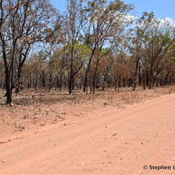Large areas of burn off late in the dry season
