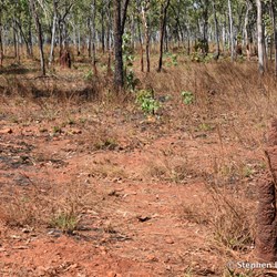 Heading towards Gulin Gulin