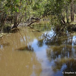 Marnaboy Creek is the first of many crossing that have water well in the dry season