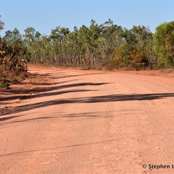 Central Arnhem Highway 