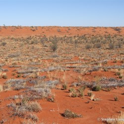 Slow going the next morning heading for our first true remote Degree Confluence 
