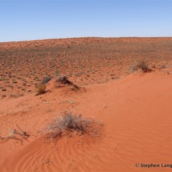 On top of a larger dune, still heading east towards the Colson Track