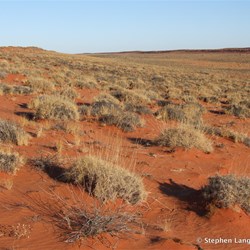 These small moguls were starting to make hard work for crossing from the west