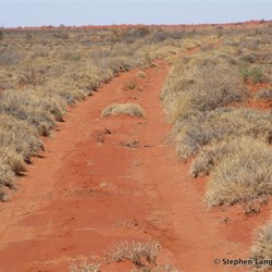 Arriving at the Colson Track was the last man made track we would encounter for nearly two weeks