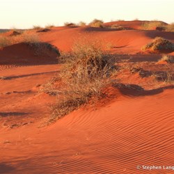 Dunes in the early light look so impressive 