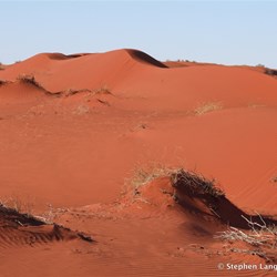 We were now encountering more and more new live dunes 