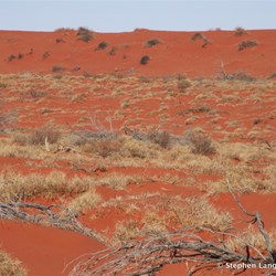 With country like this, you can see why punctures were an every day event 