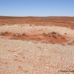 There must have been something special about this place - it just did not look natural