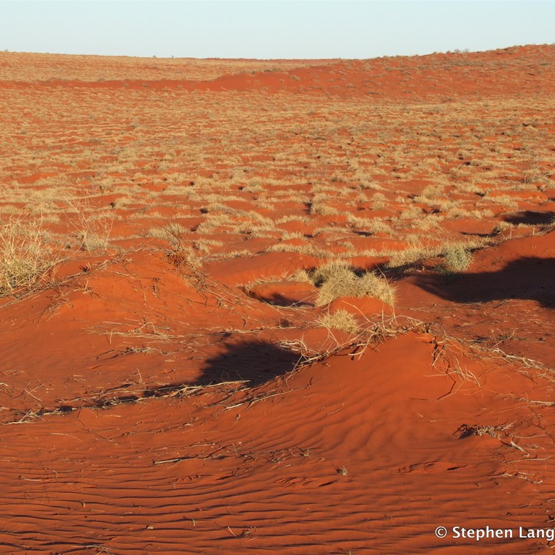 And now the fun starts - look how close the moguls are and how deep they are