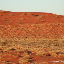 The only way to the other side is straight across, with no easy way at all. This was now 1st Low