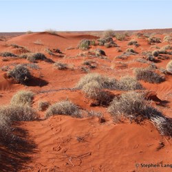 After the Confluence, it was country like this until the Colson Track