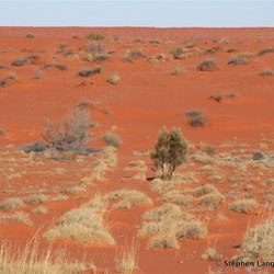 This is what is left of an old shot line heading towards the Geographical Centre from the north