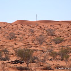 The Geographical Centre Tower - note the wall of new live sand directly behind the tower
