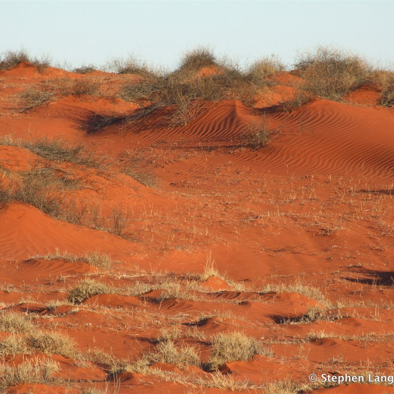 How would you tackle driving over dunes like this - hour, after hour, day after day