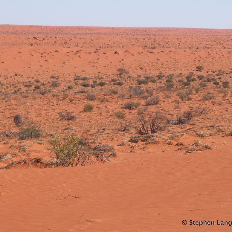 Back into an area that had been burnt out with lots of new live sand