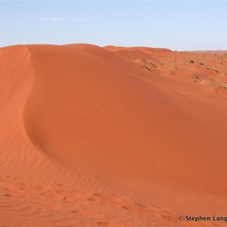 Walls of live sand like this were totally impossible to drive over - regardless of what vehicle you drove