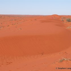 We were all out on foot trying to find a way over