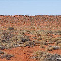 These were the only signs that it was once an old shot line - so we had nothing to lose