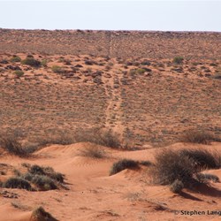 Then two dunes over and proof that we were on track