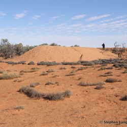 While in the Gidgee Country, this large mound caught our attention 