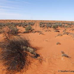 Cresting another dune and then this.......