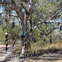 The Cape Arnhem Track - the Marine Debris Tree 