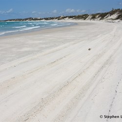 The Cape Arnhem Track