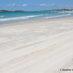The Cape Arnhem Track