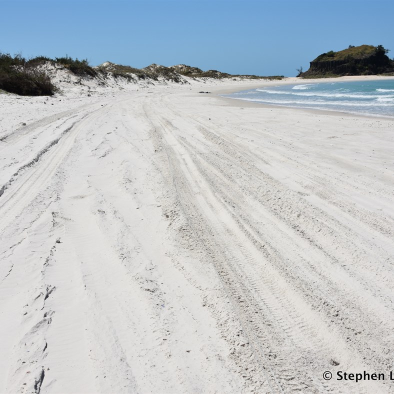 The Cape Arnhem Track