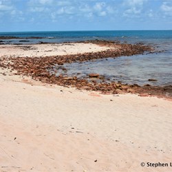 Cape Arnhem Beach