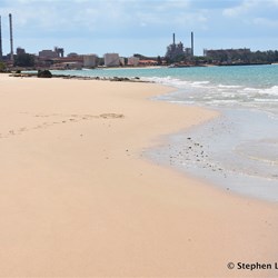 Looking back towards the Processing Plant ruins from the wharf area.
