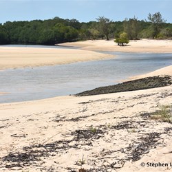 Crocodile Creek 