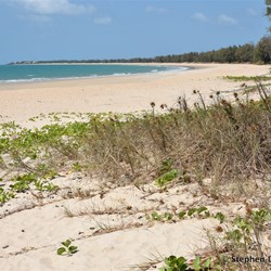 East Woody Beach