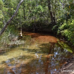 Goanna Lagoon
