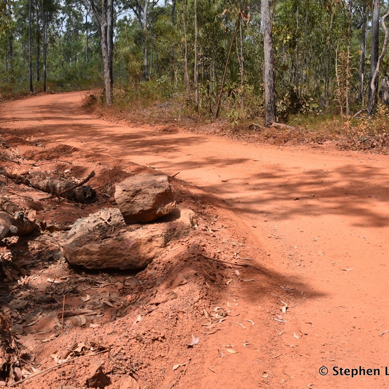 You would never know what was around the next corner