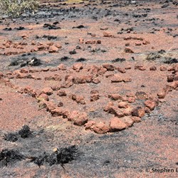 The historical stone arrangements at Macassan Beach 