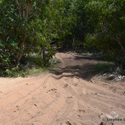 Where the soft sand starts at Little Bondi Beach