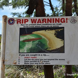 Warning sign at Little Bondi Beach