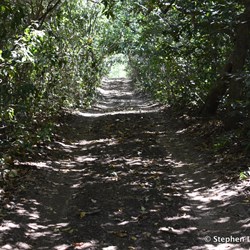 The track into Malibu Beach