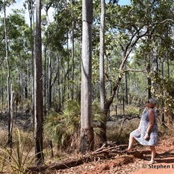 Keep an eye out to see where the local artists have taken the bark from the trees