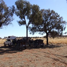 Lunch under the desert oaks