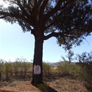 Beadell Plaque number two