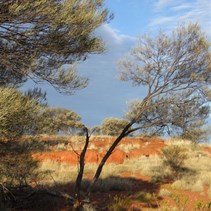 The rocky knolls of our camp spot