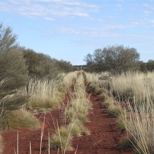 The southern stretches of the Hunt