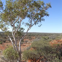 Hunt Drilling Camp Hills