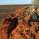 Scotty counting camels from Mt Worsnop