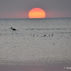Another perfect Weipa sunset