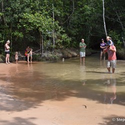 More people arrive at Gunshot to witness just what happens