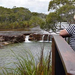 Fruit Bat Falls Lookout